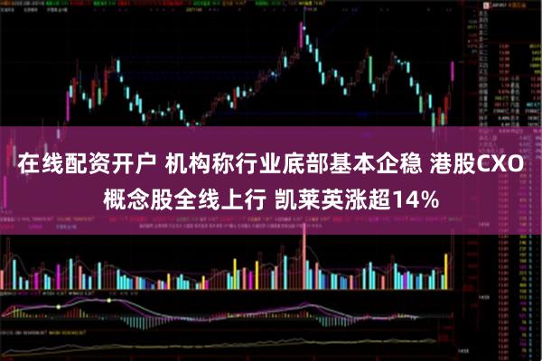 在线配资开户 机构称行业底部基本企稳 港股CXO概念股全线上行 凯莱英涨超14%