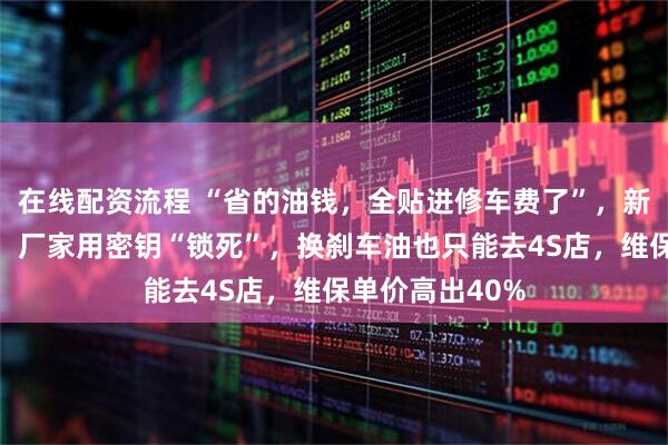 在线配资流程 “省的油钱，全贴进修车费了”，新能源车修车难：厂家用密钥“锁死”，换刹车油也只能去4S店，维保单价高出40%