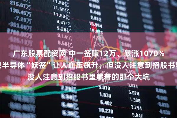 广东股票配资网 中一签赚12万、暴涨1070%临停！创业板这只半导体“妖签”让人血压飙升，但没人注意到招股书里藏着的那个大坑